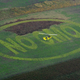 Illustration for article titled A Federal Judge Has Struck Down An Anti-GMO Law In Hawaii